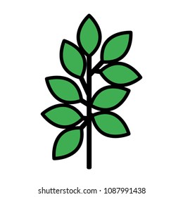 branch with leafs decorative icon