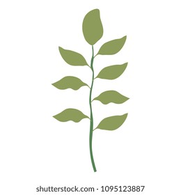 branch with leafs decorative icon