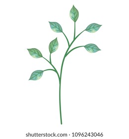 branch with leafs decorative icon