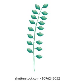 branch with leafs decorative icon