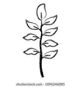 branch with leafs decorative icon