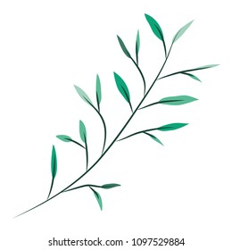 branch with leafs decorative icon