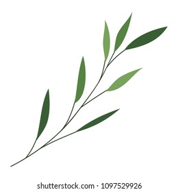 branch with leafs decorative icon
