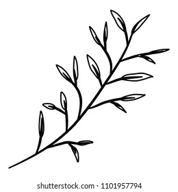 branch with leafs decorative icon
