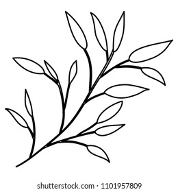 branch with leafs decorative icon