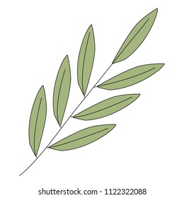 branch with leafs decorative icon