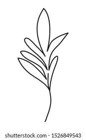 branch with leafs decorative icon vector illustration design
