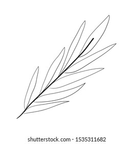branch with leafs decorative icon vector illustration design