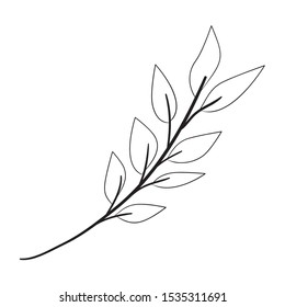 branch with leafs decorative icon vector illustration design