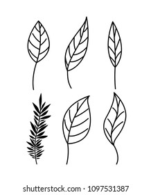 branch with leafs decorative icons