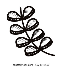 branch with leafs doodle line style icon vector illustration design