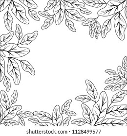 branch with leafs ecology frame