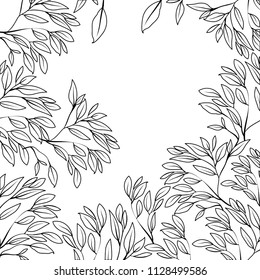 branch with leafs ecology frame