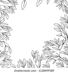 branch with leafs ecology frame
