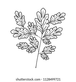 branch with leafs ecology icon