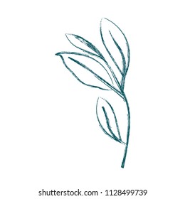 branch with leafs ecology icon