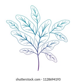 branch with leafs ecology icon