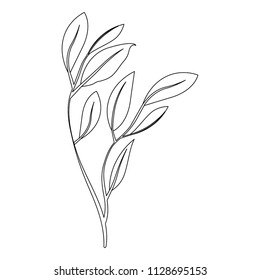 branch with leafs ecology icon