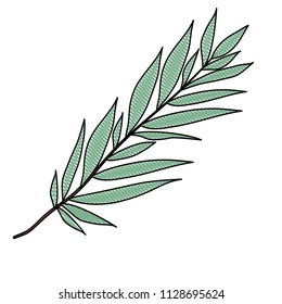 branch with leafs ecology icon
