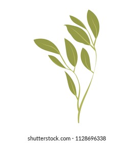 branch with leafs ecology icon