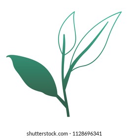 branch with leafs ecology icon