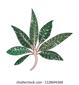 branch with leafs ecology icon