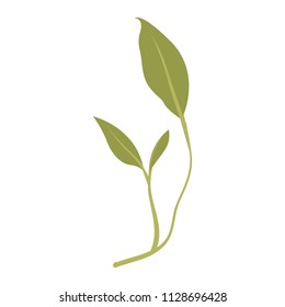branch with leafs ecology icon