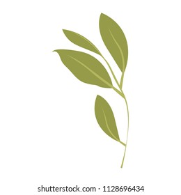 branch with leafs ecology icon
