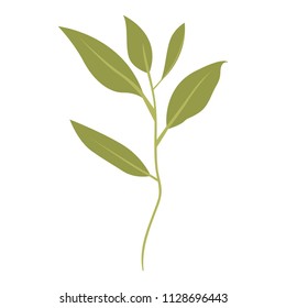 branch with leafs ecology icon