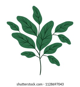 branch with leafs ecology icon