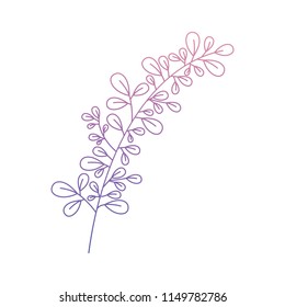 branch with leafs ecology icon