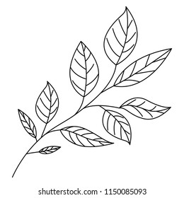branch with leafs ecology icon