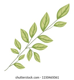 branch with leafs ecology icon
