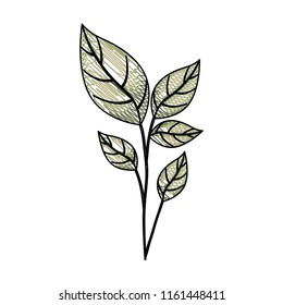 branch with leafs ecology icon