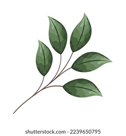branch with leafs foliage icon