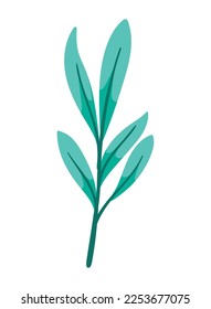 branch with leafs foliage icon