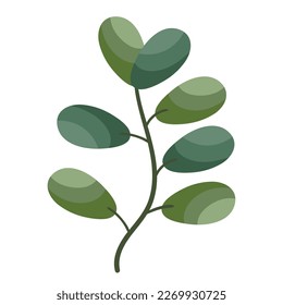 branch with leafs foliage icon