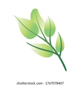 branch with leafs hand draw style icon vector illustration design