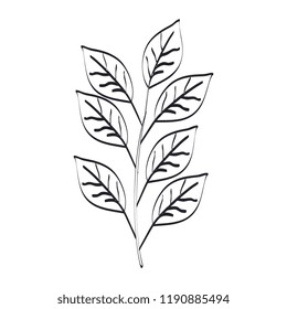branch with leafs icon