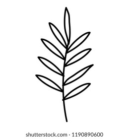 branch with leafs icon