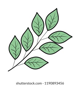 branch with leafs icon