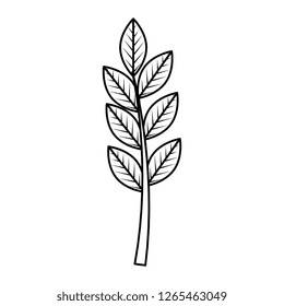 branch with leafs icon