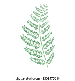 branch with leafs icon