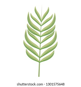 branch with leafs icon