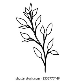 branch with leafs icon