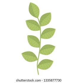 branch with leafs icon