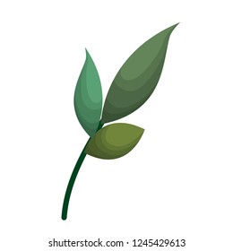 branch with leafs isolated icon