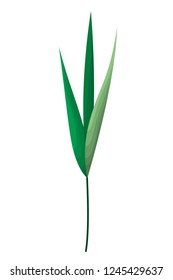 branch with leafs isolated icon