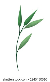 branch with leafs isolated icon