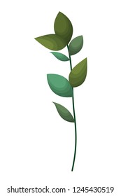 branch with leafs isolated icon